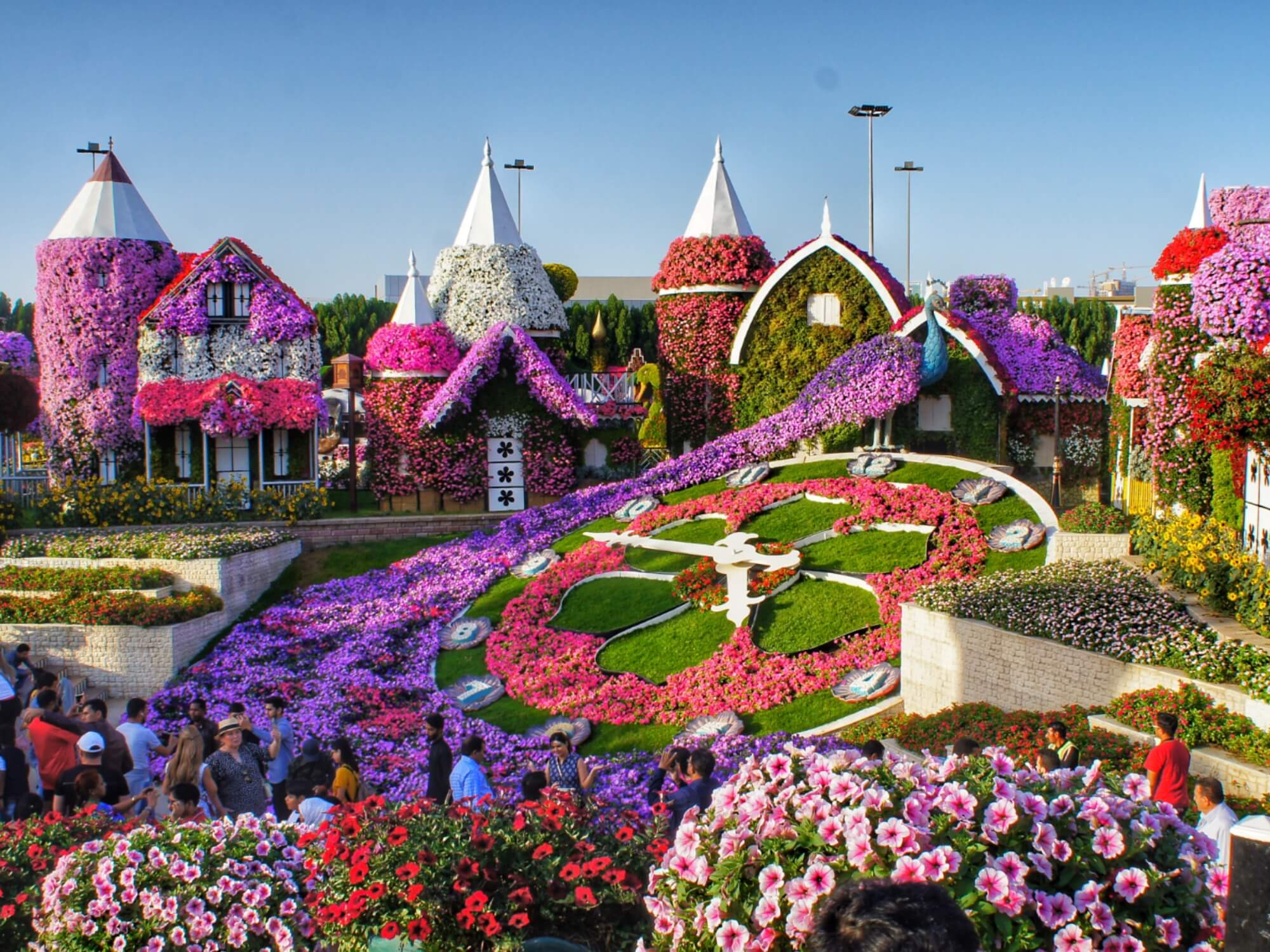 Парк цветов в Дубае Miracle Garden